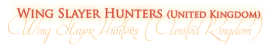 Wing Slayer Hunters Series (United Kingdom)