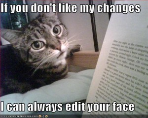 funny-pictures-cat-threatens-to-edit-your-face1