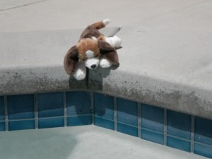 Puppy wants to go in Jacuzzi