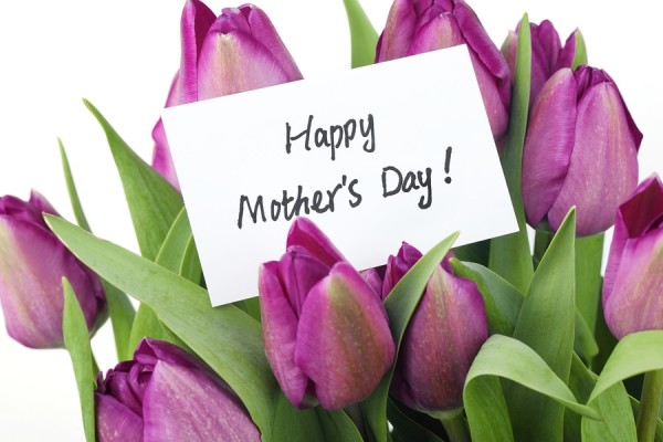 Mother's Day Concept-- Purple tulips with card on white backgrou