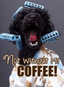 Not without my coffee