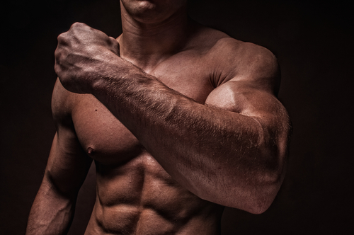 Muscled male model with strong arms