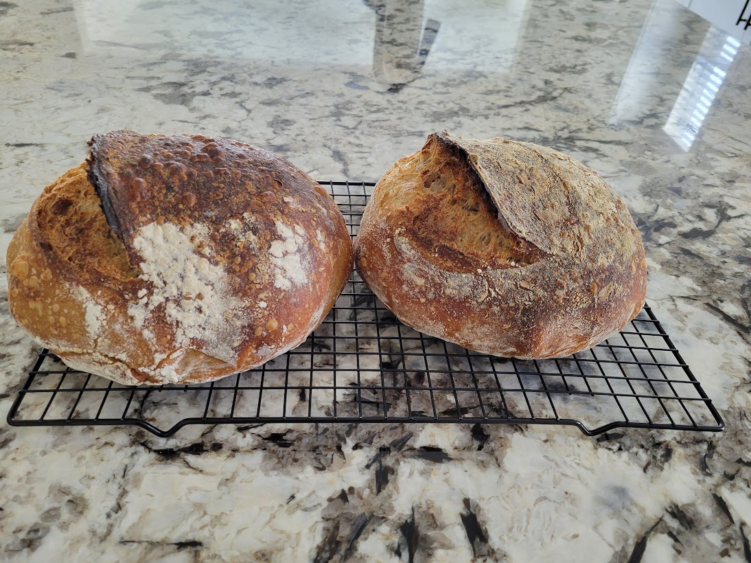 sourdough bread experiment